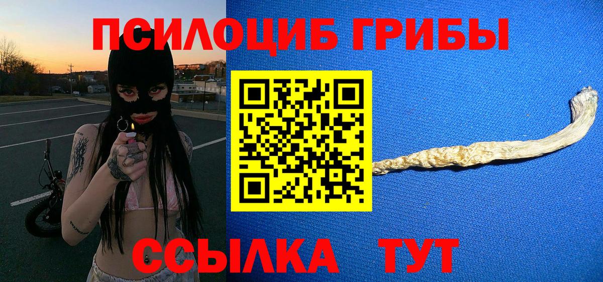 Псилоцибиновые грибы мицелий Асино